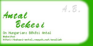 antal bekesi business card